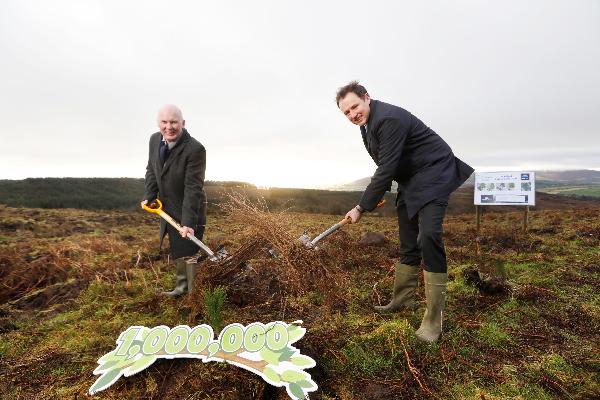  Aldi Ireland commits to planting 1 million native Irish woodland trees by 2025