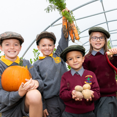 The “Lidl Farm” opens for free school tours