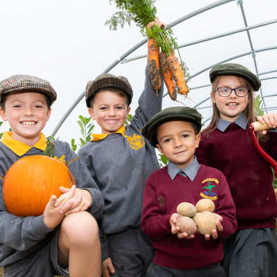 The “Lidl Farm” opens for free school tours 