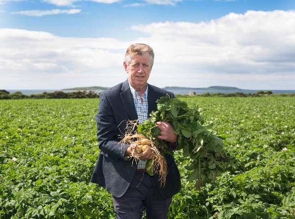 SuperValu to Sell €2.5m of New Potatoes as 2020 Potato Sales Set to Hit €37m