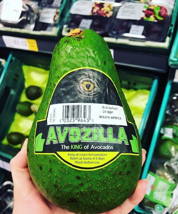 Is it a bird? Is it a plane? No! It’s Avozilla