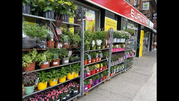 BWG Foods reports €1million in new sales as retailers supply gardening products during COVID-19 lockdown