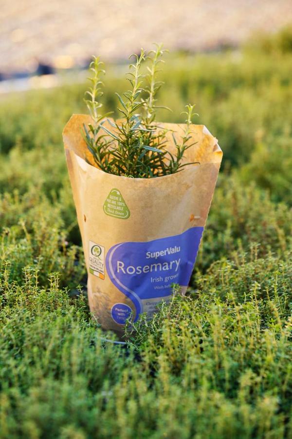 SuperValu herbs become more eco-friendly with new sustainable packaging