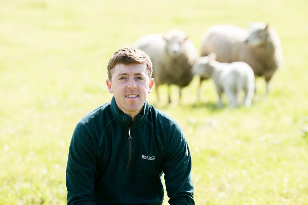 SuperValu Sales of Irish Lamb Set to Reach €16.5 million 