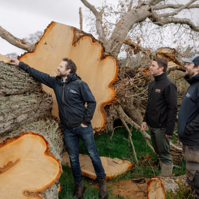 Rare whiskey casks crafted from 1000-year-old storm-felled Irish oak