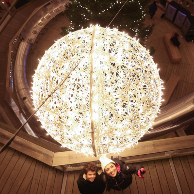 Experience the Magic of the Forest at Night with "Treetop Night Lights" at Beyond the Trees Avondale