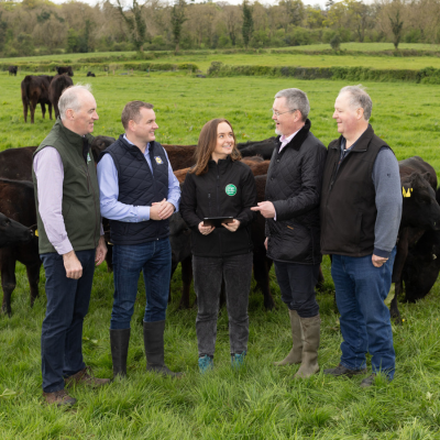 Lidl becomes first supermarket retailer in Ireland to launch sustainability support programme for Irish beef farmers