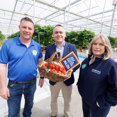 ALDI Extends Partnership with Sunglow Nurseries through €14 Million Investment in Irish Strawberries 