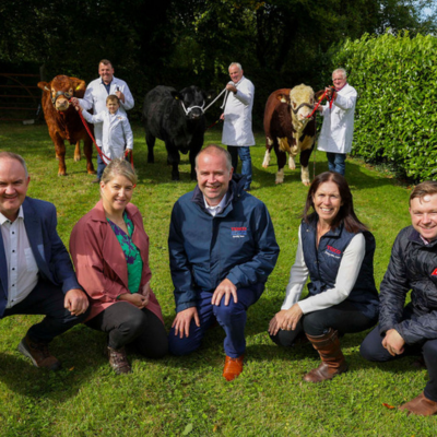 Tesco Ireland Backs Groundbreaking Beef Sustainability Initiative