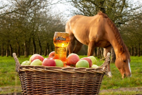BULMERS PAVES THE ROAD TO CHELTENHAM 2019